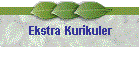 Ekstra Kurikuler