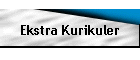 Ekstra Kurikuler