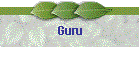 Guru