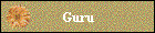 Guru