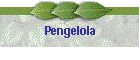 Pengelola