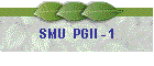 SMU  PGII - 1